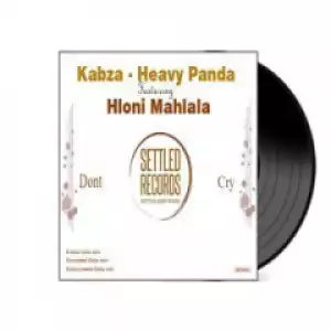 Kabza Heavy Panda - Dont Cry Ft. Hloni Mohlala (Grounded Oaks Meets Heavy Panda Mix)